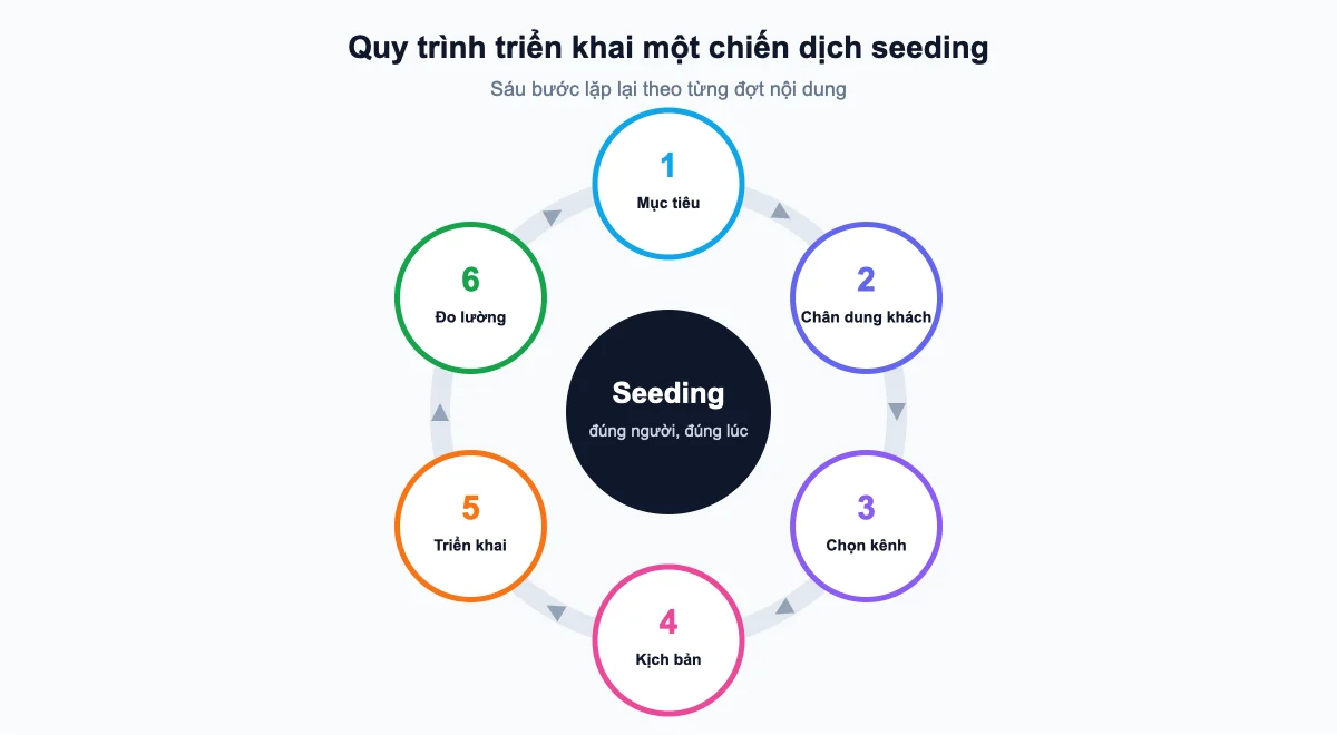 Quy trình triển khai chiến dịch seeding 6 bước