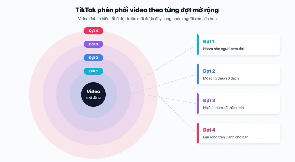 TikTok phân phối video theo từng đợt mở rộng